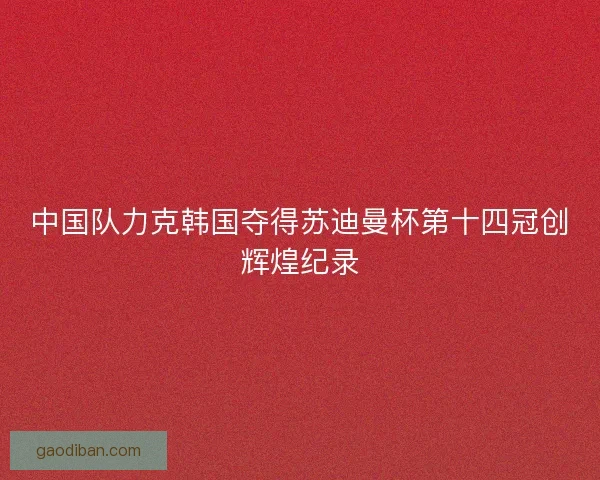 中国队力克韩国夺得苏迪曼杯第十四冠创辉煌纪录